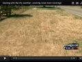 dry lawn