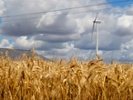 AWEA: Doubling Iowa installed wind capacity could save consumers $12.6B