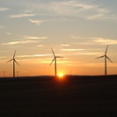 Analysis: Renewables can meet US' electricity needs