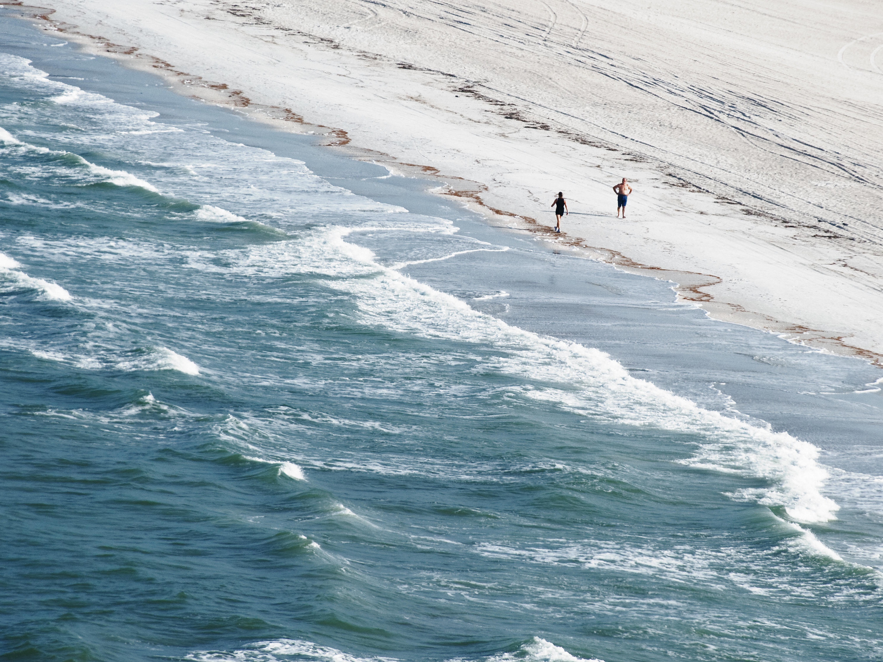 Tampa S Former Crowne Plaza Debuts As Tapestry S Hotel Alba