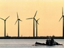 Clean energy makes good business sense, WWF exec says