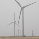 Vestas confirms 148-MW turbine supply deal for Cactus Flats