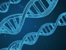 Synthetic DNA startups catch on with investors