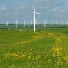 Xcel plans 300-MW wind project in S.D.