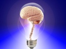 Brain, idea, lightbulb