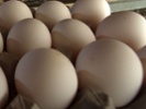 Cage-free eggs come at a cost