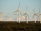 Wind firms are watching N.C., says observer