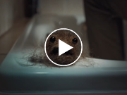 Quality Meats, Manscaped sing a "Hair Ballad"