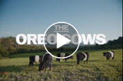 Oreo revives cookie dunking tradition with lookalike cows