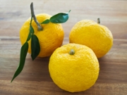 Japanese citrus fruits, Yuzu