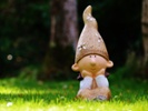 Missing Canadian gnomes come home ... good as new