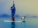 PetSmart contest promotes outdoor gear for pets