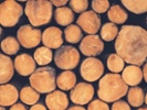 Construction group urges lumber tariff reconsideration