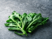 Mesembryanthemum crystalline ice plant on wooden board Macrophotography