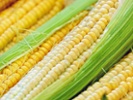 RD: Corn is a healthful vegetable, whole grain