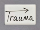 Shooting survivor shares use of trauma-informed teaching