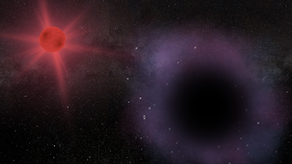 'Missing link' black hole lurks in strange binary system