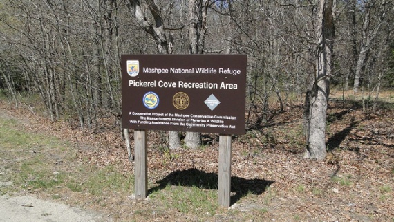 Massachusetts conservation agent forced to remove numerous “personal” trail cameras from protected area