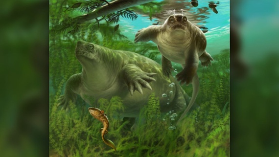 Mammal ancestor looked like a chubby lizard with a tiny head and had a hippo-like lifestyle