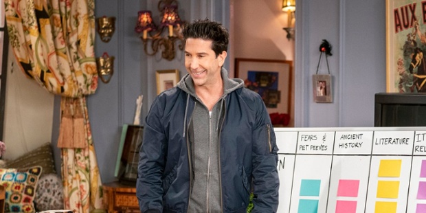 One Darling Friends: The Reunion Moment David Schwimmer Pointed Out That Fans Probably Missed