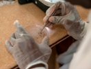 Malaria eradicated in Algeria, where the disease was discovered