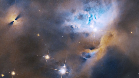 Our photo of the day: Hubble Telescope sees baby stars
