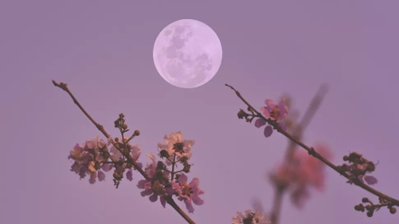 A Pink Moon rises tonight! Catch April's full moon