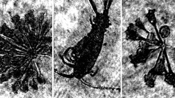 Scientists are poking around in Loch Ness, but they're not hunting for the monster