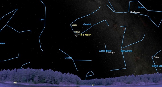 See the crescent moon pose with Pollux this week