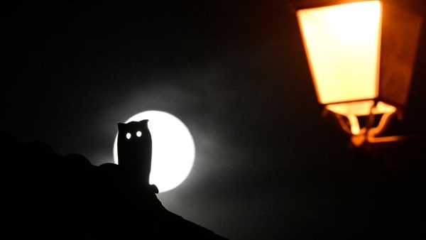 Hunter's Supermoon rises this week, biggest moon of 2024