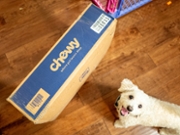 A Bichon Frise dog stands beside shipping box for pet products company Chewy inside a home, Lafayette, California, March 24, 2026. (Photo by Smith Collection/Gado/Getty Images)
