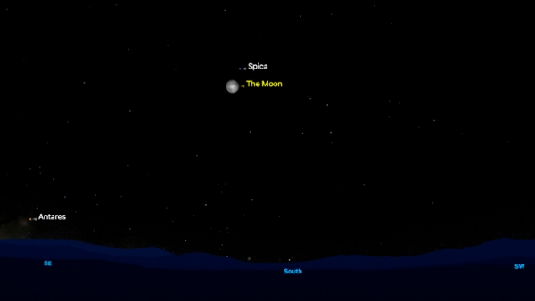 The near-full moon is pictured close below the bright star Spica in a dark night sky studded with lesses stars, above the southern horizon.