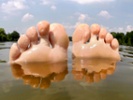 Brains of people without hands developed "toe maps"