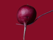 radish on fork on a dark pink background. plant composition