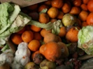 One-third of food in American households is wasted