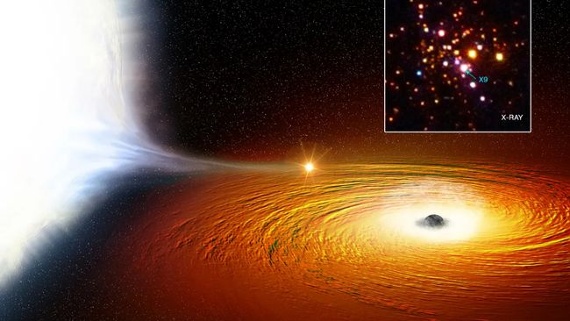 Can stars form around black holes?