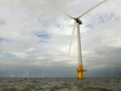 Wind farm plans to grow seaweed