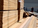 Analyst: Lumber 'likely to outperform overall economy'