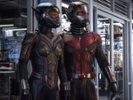 Ant-Man And The Wasp: Quantumania Won't Bring Back A Longtime Ant-Man Character