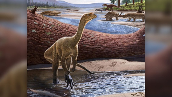 Oldest African dinosaur ever found unearthed in Zimbabwe
