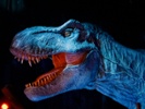 T. rexes didn't look like "Jurassic Park"