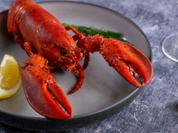 Red lobster