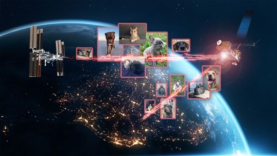 NASA lasers beam pics of pet dogs, cats, chickens to ISS