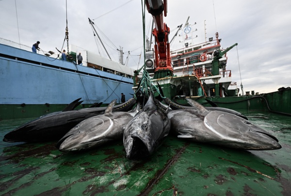 75% of all industrial fishing vessels are 'hidden'