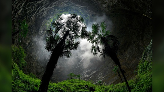 China's 'heavenly pits': The giant sinkholes that have ancient forests growing within