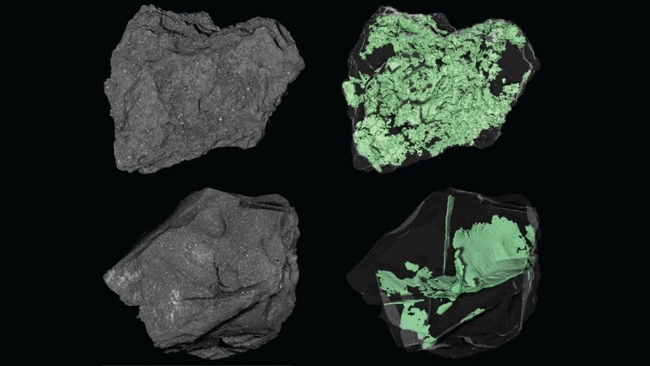Space photo of the day: NASA peers inside asteroid