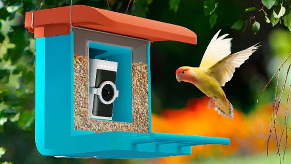 Wyze's new bird feeder camera has special "monocle" for better focus