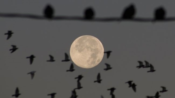 Last supermoon of 2024 wows skywatchers around the world