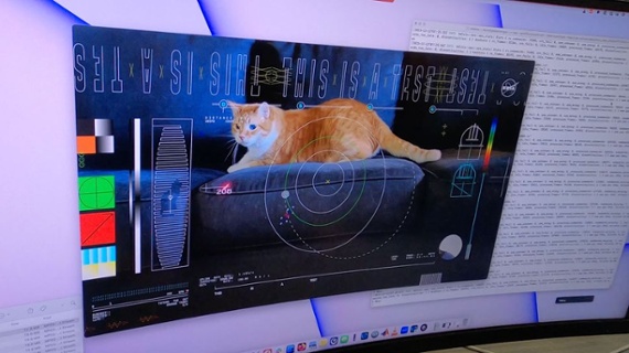 NASA laser-beams adorable cat video to Earth