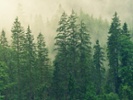 Infographic: How to create the best evergreen content